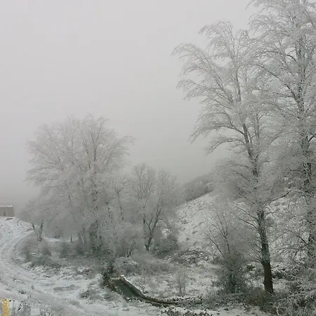 Villamoronta *